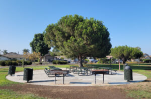 A large tree and park benches in Rio Lindo park.